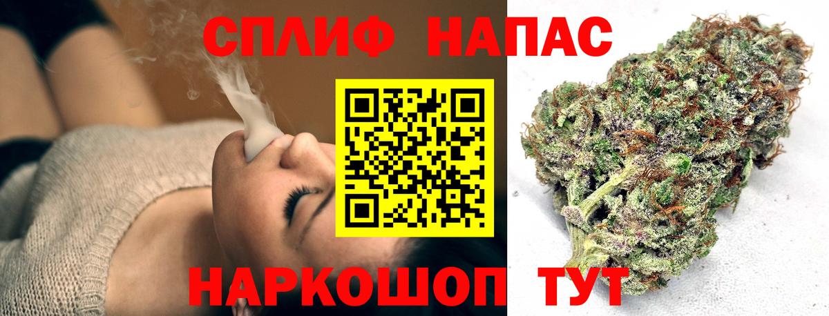 Шишки марихуана MAZAR Ростов Великий